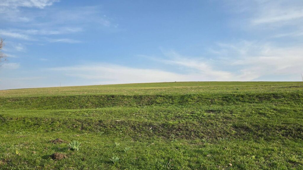Vacant green field of open land under a blue sky